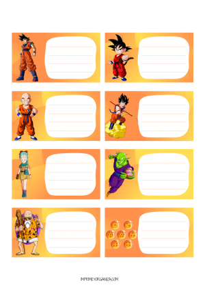 Etiquetas Dragon Ball